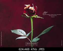 Нажмите на изображение для увеличения
Название: роза.jpg
Просмотров: 199
Размер:	47.3 Кб
ID:	32708