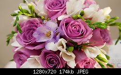 Нажмите на изображение для увеличения
Название: purple-rose.jpg
Просмотров: 186
Размер:	174.0 Кб
ID:	87764
