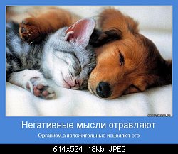 Нажмите на изображение для увеличения
Название: motivator-11946.jpeg
Просмотров: 147
Размер:	48.3 Кб
ID:	73589