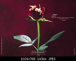 Нажмите на изображение для увеличения
Название: роза и ангелы.jpg
Просмотров: 245
Размер:	143.1 Кб
ID:	35699