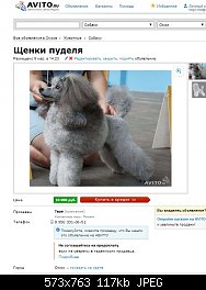 Нажмите на изображение для увеличения
Название: авито1.jpg
Просмотров: 183
Размер:	116.6 Кб
ID:	72093