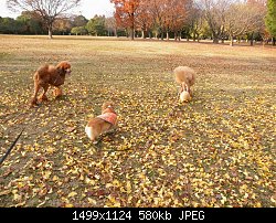 Нажмите на изображение для увеличения
Название: PC070470.jpg
Просмотров: 562
Размер:	580.3 Кб
ID:	70598