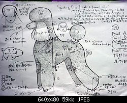 Нажмите на изображение для увеличения
Название: dsc02255.jpg
Просмотров: 1691
Размер:	59.4 Кб
ID:	3484