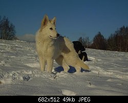 Нажмите на изображение для увеличения
Название: tarjka.jpg
Просмотров: 956
Размер:	48.5 Кб
ID:	25313