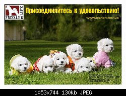 Нажмите на изображение для увеличения
Название: resize of golden-fund-2008.jpg
Просмотров: 447
Размер:	129.7 Кб
ID:	45615