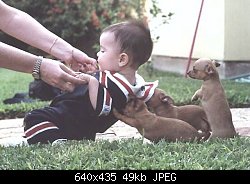 Нажмите на изображение для увеличения
Название: puppy_help.jpg
Просмотров: 377
Размер:	49.5 Кб
ID:	1971