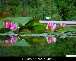 Нажмите на изображение для увеличения
Название: oboi-flowers-114.jpg
Просмотров: 290
Размер:	91.7 Кб
ID:	50441
