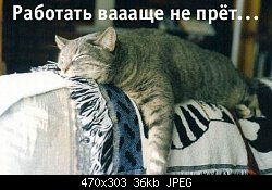 Нажмите на изображение для увеличения
Название: 11-02-2004-3.jpg
Просмотров: 607
Размер:	36.4 Кб
ID:	2703