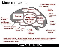 Нажмите на изображение для увеличения
Название: brainfemale.jpg
Просмотров: 215
Размер:	71.7 Кб
ID:	1562