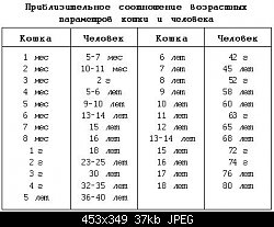 Нажмите на изображение для увеличения
Название: возраст кошки.jpg
Просмотров: 356
Размер:	37.1 Кб
ID:	67624