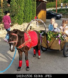 Нажмите на изображение для увеличения
Название: 20170620_183237-1.jpg
Просмотров: 411
Размер:	610.0 Кб
ID:	90238