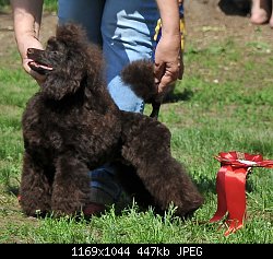 Нажмите на изображение для увеличения
Название: DSC_9772..jpg
Просмотров: 349
Размер:	447.0 Кб
ID:	72795