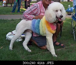 Нажмите на изображение для увеличения
Название: bamper-jokerpride2005.jpg
Просмотров: 1672
Размер:	41.0 Кб
ID:	23989