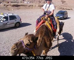 Нажмите на изображение для увеличения
Название: s2008-isr-верблюд обгоняя авто 563н.jpg
Просмотров: 333
Размер:	77.5 Кб
ID:	52042