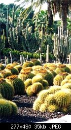 Нажмите на изображение для увеличения
Название: cactuses in the cactuses garden.jpg
Просмотров: 148
Размер:	35.0 Кб
ID:	5253