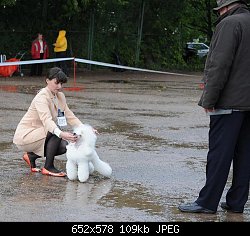 Нажмите на изображение для увеличения
Название: копия dsc_6942.jpg
Просмотров: 195
Размер:	109.3 Кб
ID:	56720